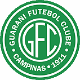 Escudo do Guarani