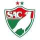 Escudo do Salgueiro