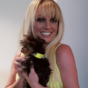 A cantora Britney Spears ao lado da sua cadela Hannah  - Reprodução/Twitter